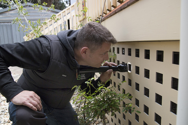 pest-and-building-inspections