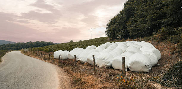 Silage Plastic