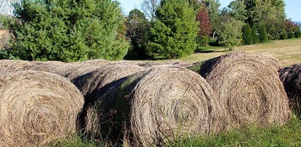 baler twine