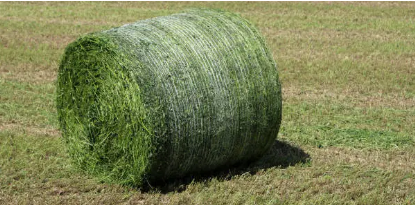net wrap